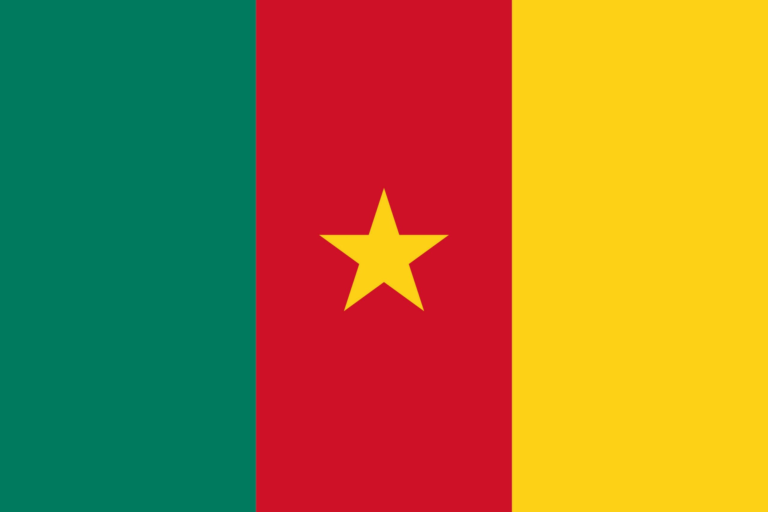 drapeau-cameroun
