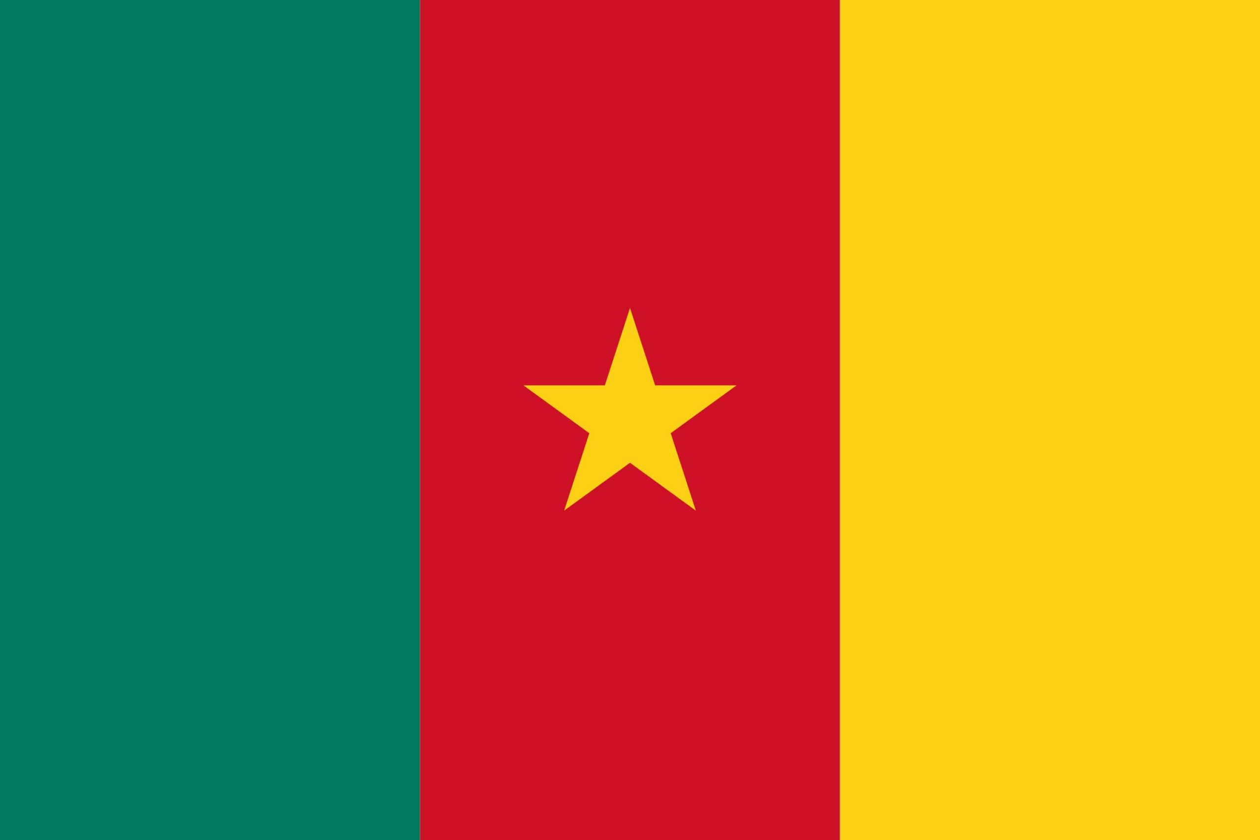 drapeau-cameroun