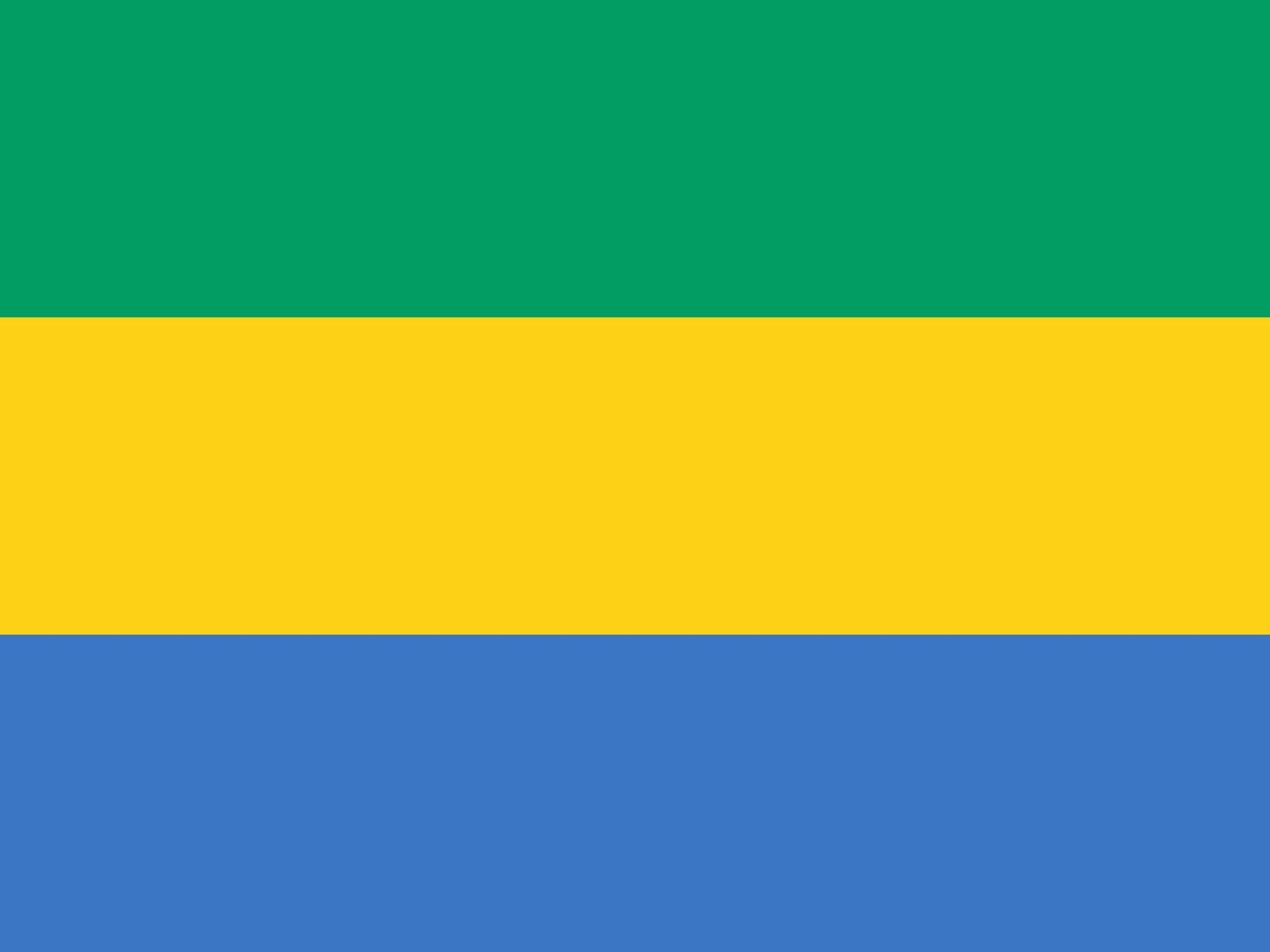 drapeau-gabon