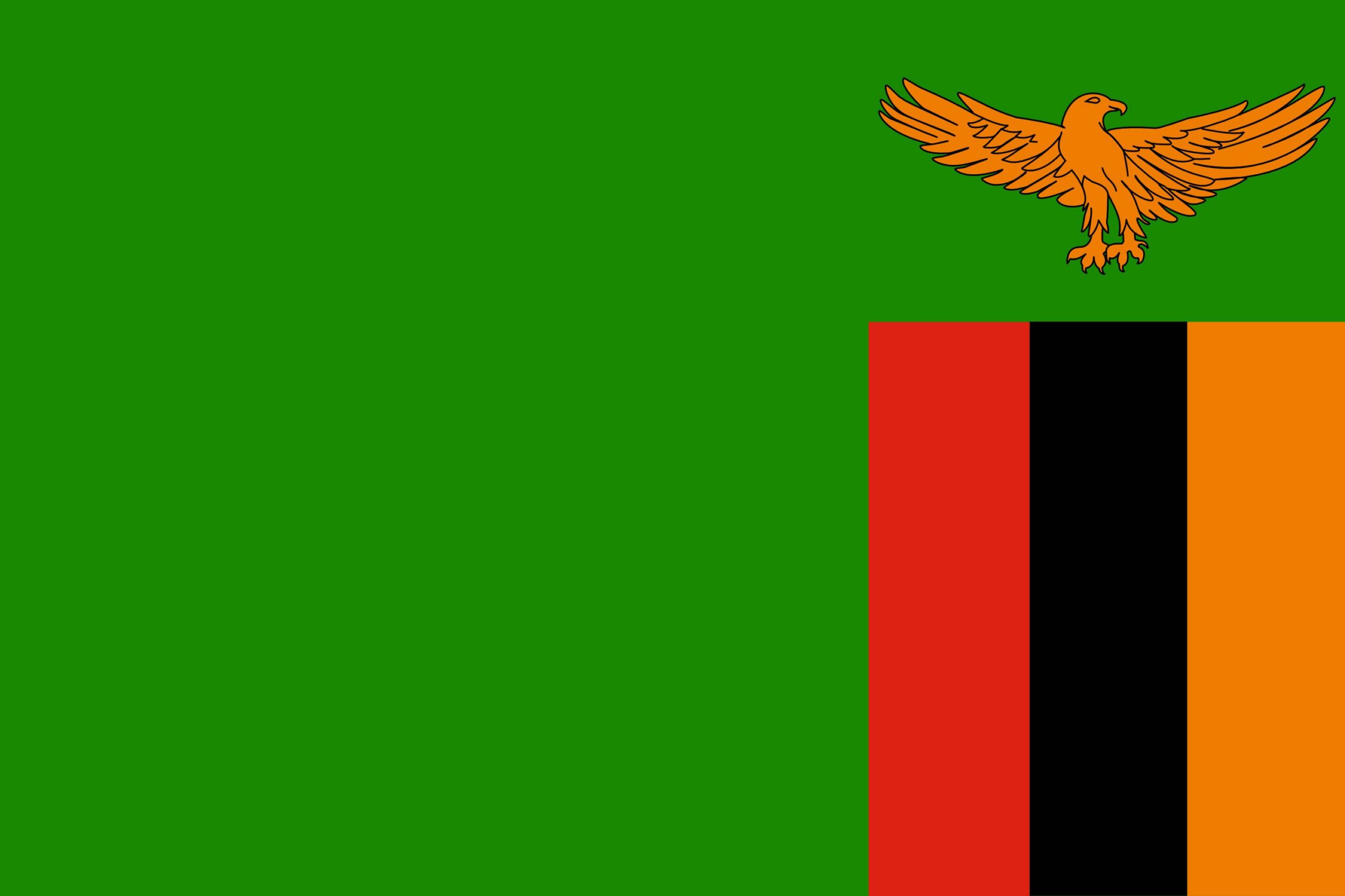 drapeau-zambie